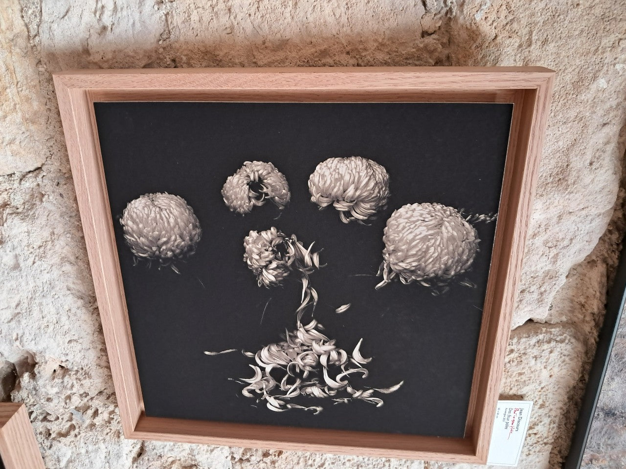 Chrysanthèmes
