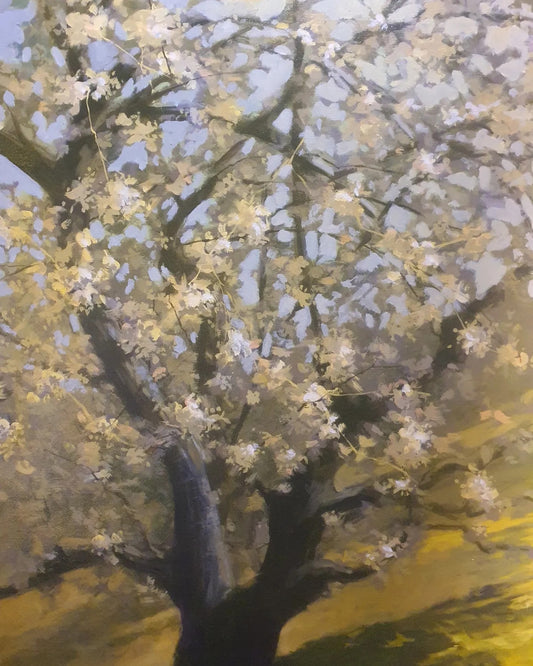 Arbres - 02