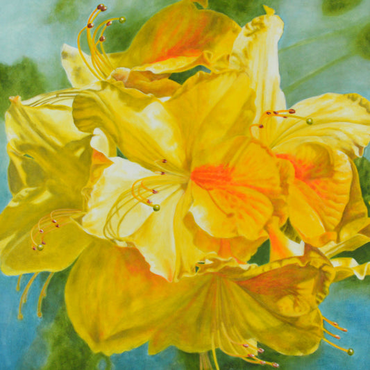 Fleur