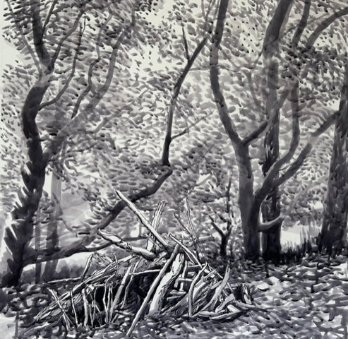 Dans la Forêt