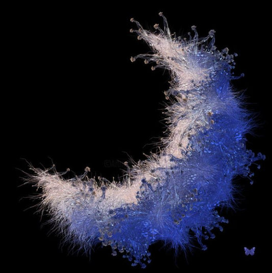 Luna Antiqua